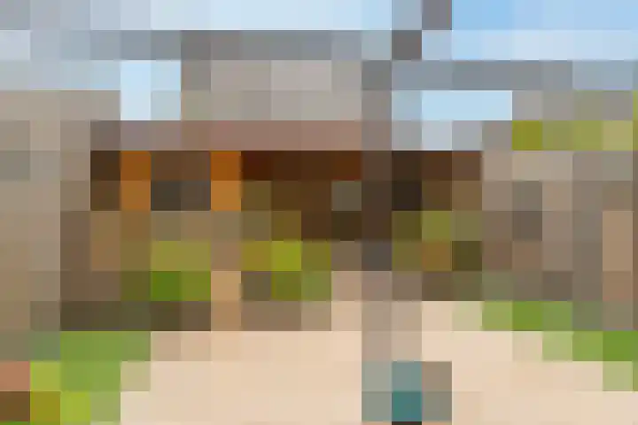 Paardebloem 12 Dongen thumbnail 4