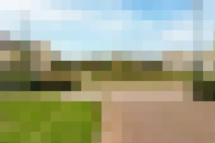 Paardebloem 12 Dongen thumbnail 5