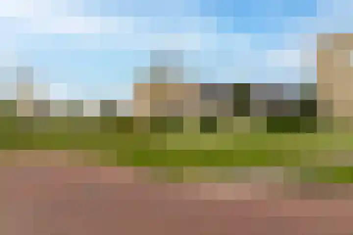 Paardebloem 12 Dongen thumbnail 6