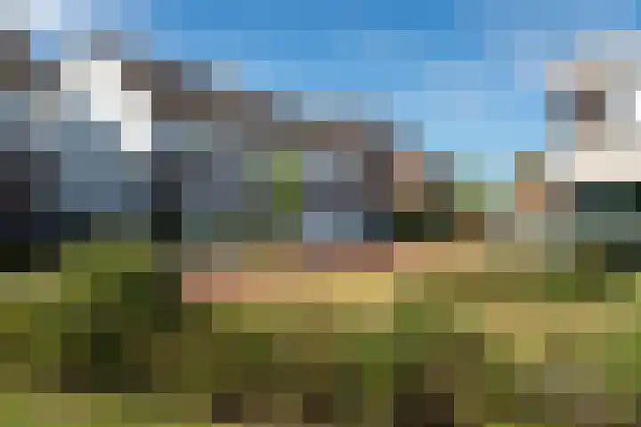 Paardebloem 12 Dongen thumbnail 7