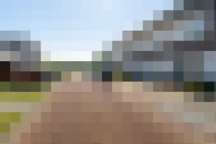 Paardebloem 12 Dongen thumbnail 8