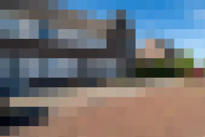 Paardebloem 12 Dongen thumbnail 9