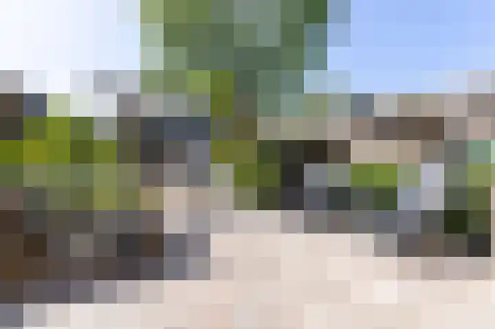 Paardebloem 12 Zwaag thumbnail 11