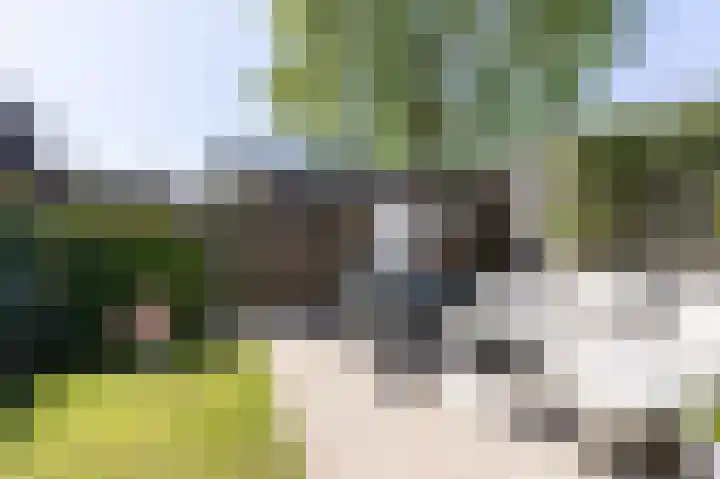 Paardebloem 12 Zwaag thumbnail 12