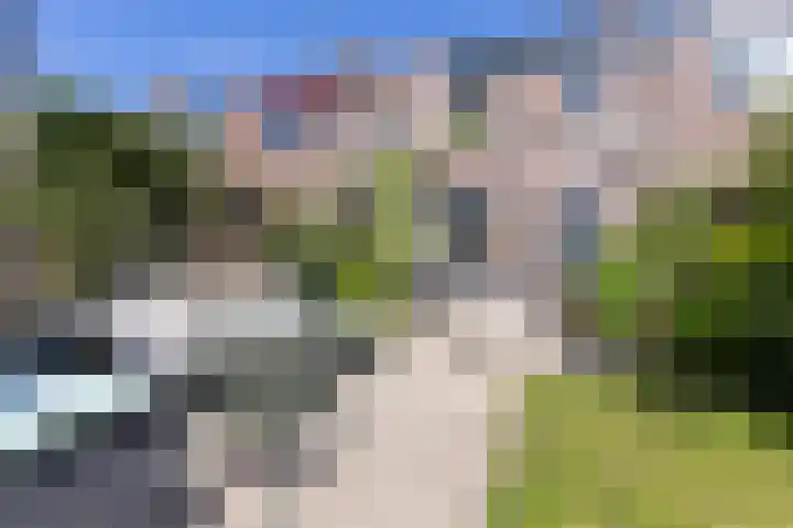 Paardebloem 12 Zwaag thumbnail 13