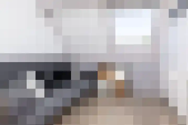 Paardebloem 12 Zwaag thumbnail 23