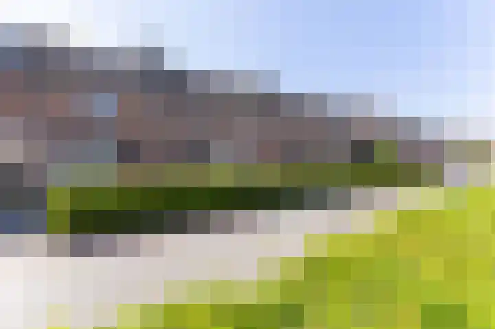 Paardebloem 12 Zwaag thumbnail 26