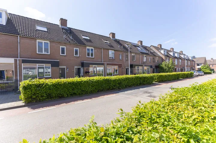 Paardebloem 12 Zwaag thumbnail 26