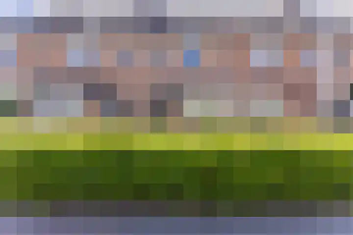 Paardebloem 12 Zwaag thumbnail 30