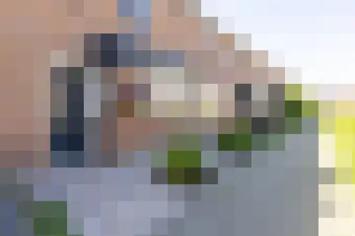 Paardebloem 12 Zwaag thumbnail 4