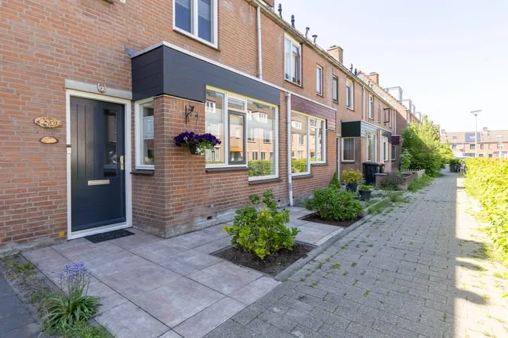 Paardebloem 12 Zwaag thumbnail 4