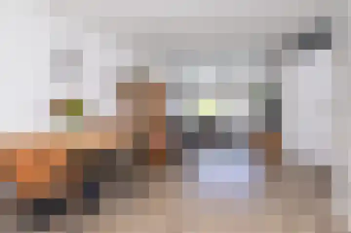 Paardebloem 12 Zwaag thumbnail 6