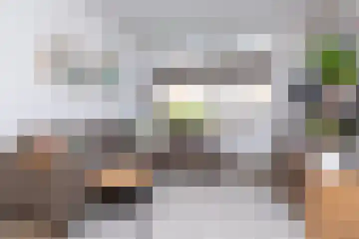 Paardebloem 12 Zwaag thumbnail 7
