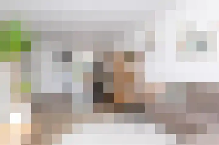 Paardebloem 12 Zwaag thumbnail 8