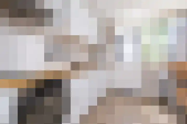 Paardebloem 12 Zwaag thumbnail 9