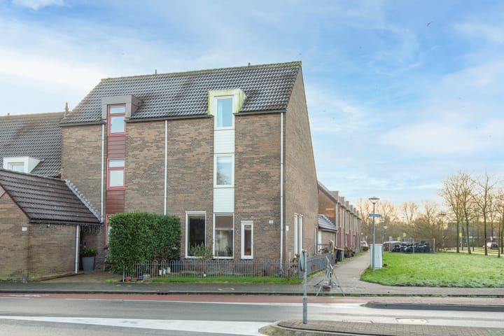 Paardebloem 131 dans Zwaag photo