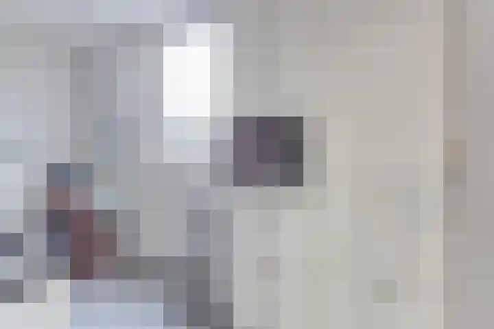 Paardebloem 131 Zwaag thumbnail 20