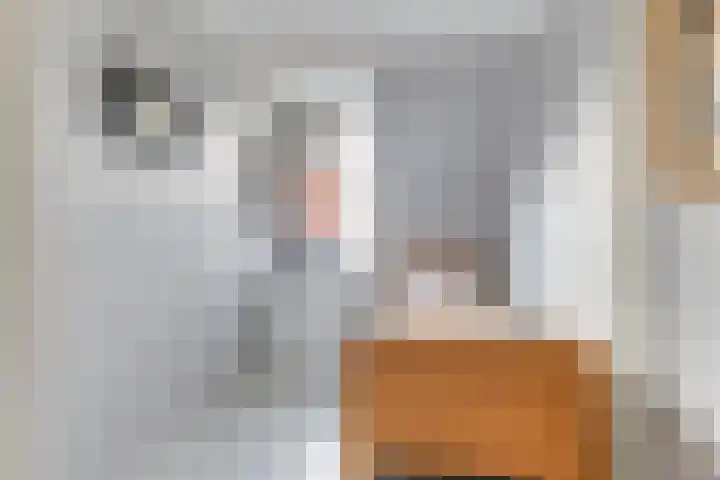 Paardebloem 131 Zwaag thumbnail 32