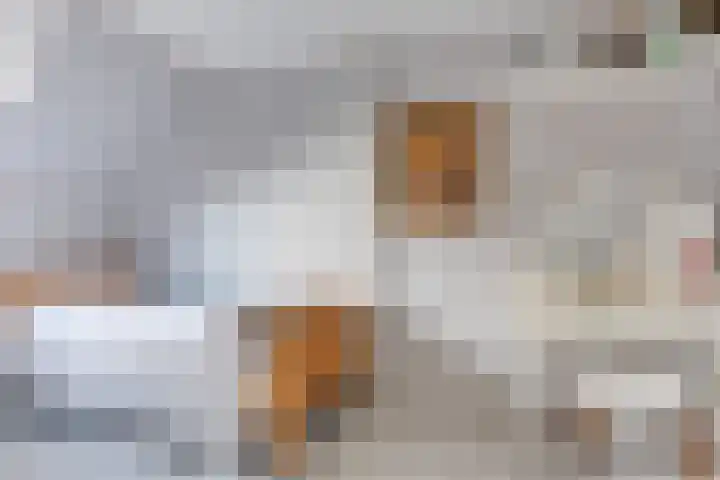 Paardebloem 131 Zwaag thumbnail 33