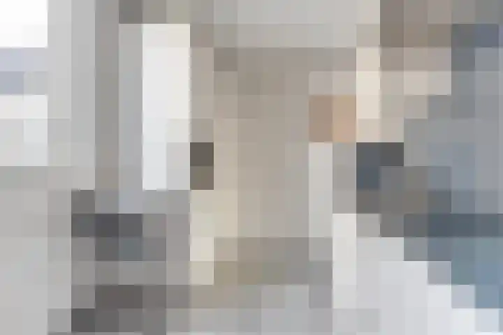 Paardebloem 131 Zwaag thumbnail 5