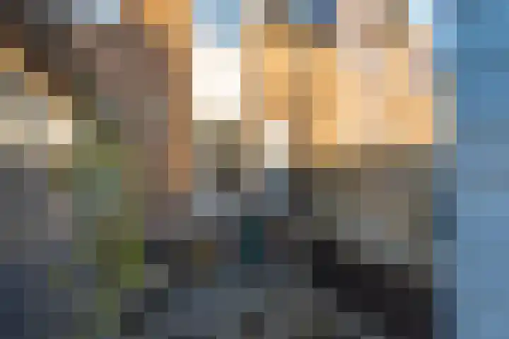 Paardebloem 131 Zwaag thumbnail 51