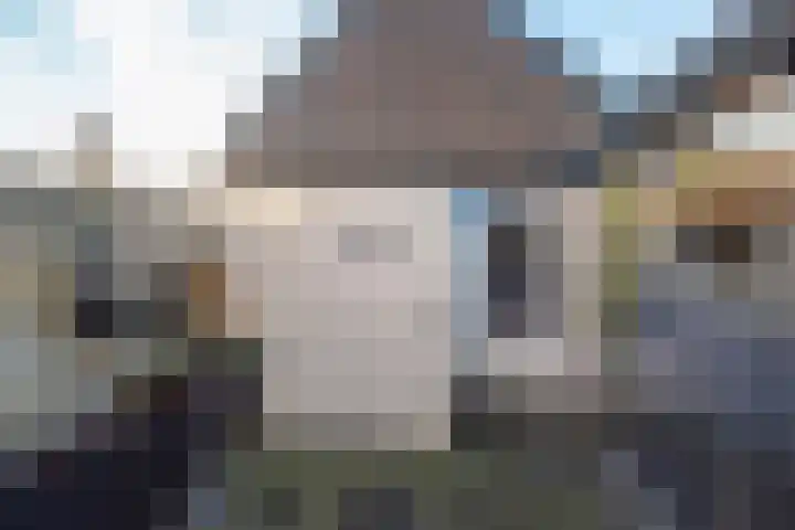 Paardebloem 131 Zwaag thumbnail 53