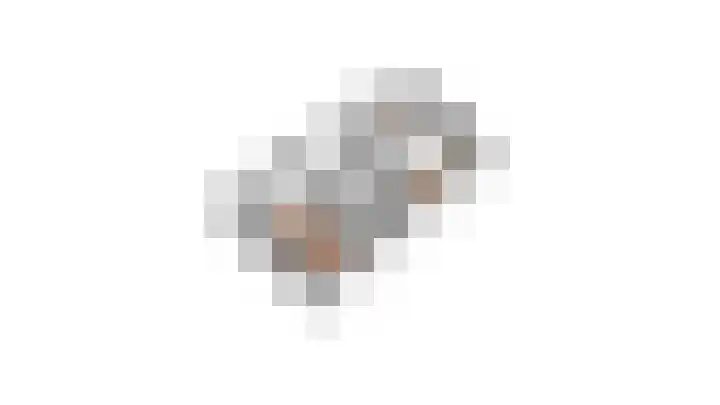 Paardebloem 131 Zwaag thumbnail 62