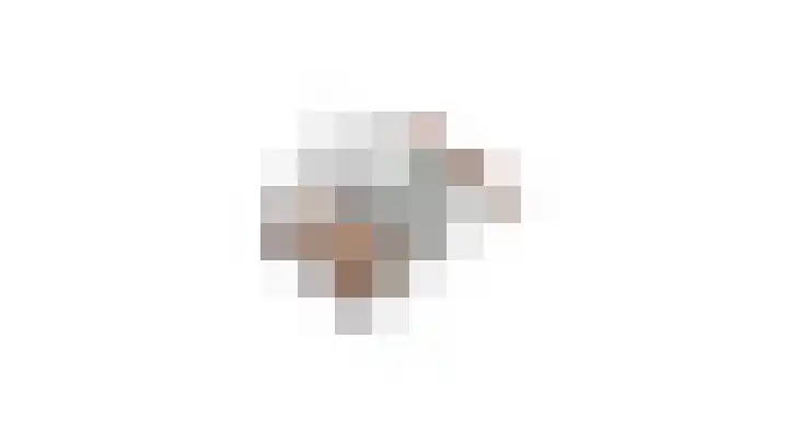 Paardebloem 131 Zwaag thumbnail 63