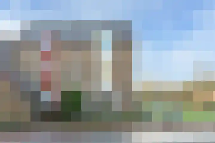 Paardebloem 131 Zwaag thumbnail 7