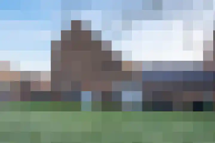 Paardebloem 131 Zwaag thumbnail 8