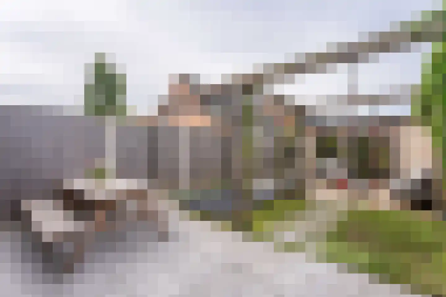 Paardebloem 14 Rijnsburg thumbnail 39