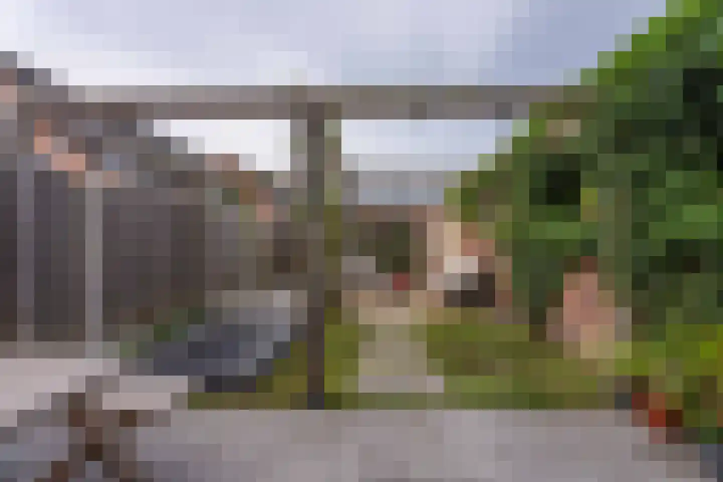 Paardebloem 14 Rijnsburg thumbnail 40