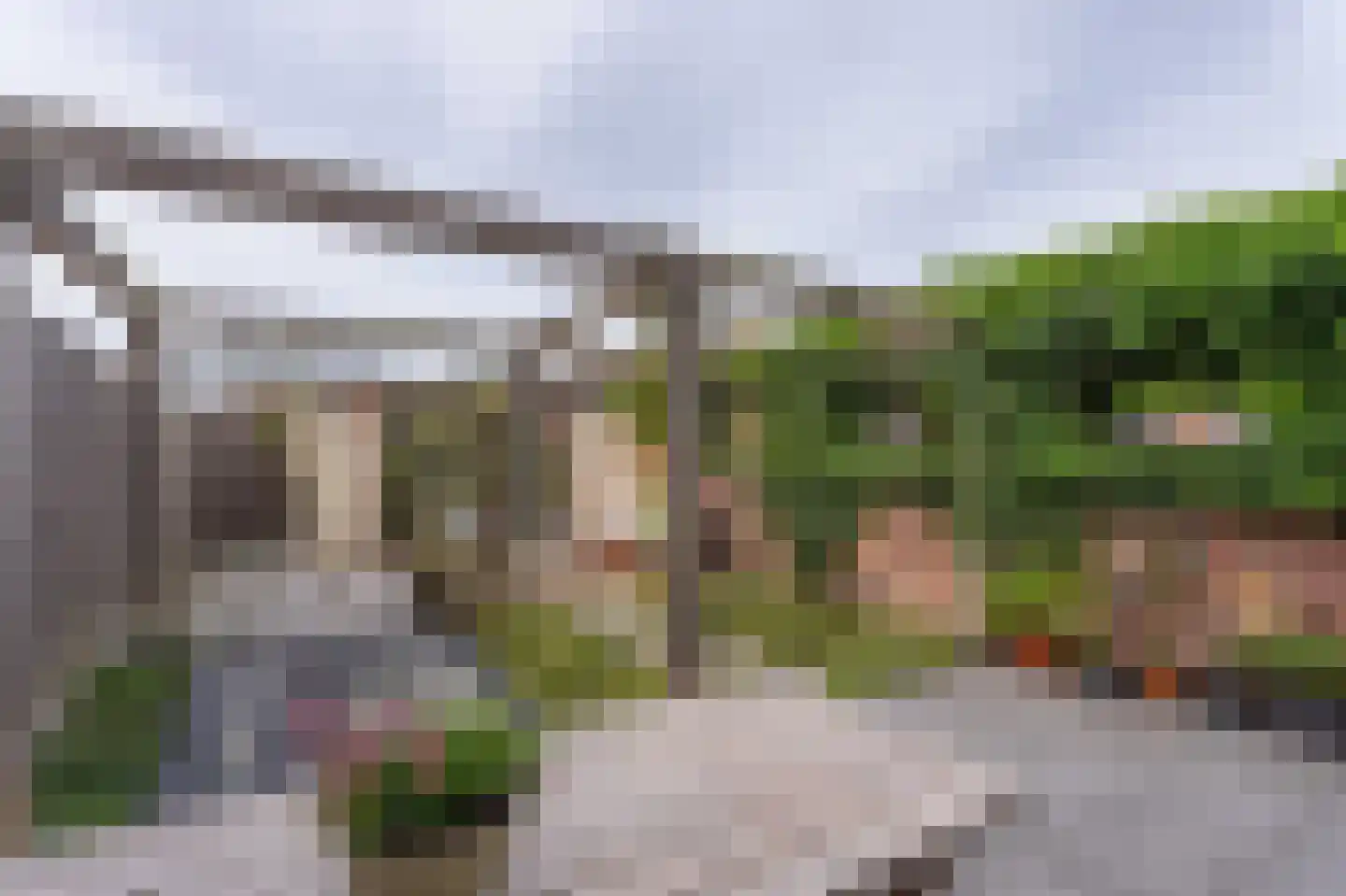 Paardebloem 14 Rijnsburg thumbnail 41