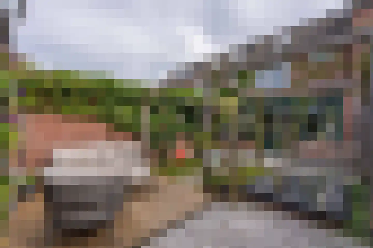 Paardebloem 14 Rijnsburg thumbnail 42