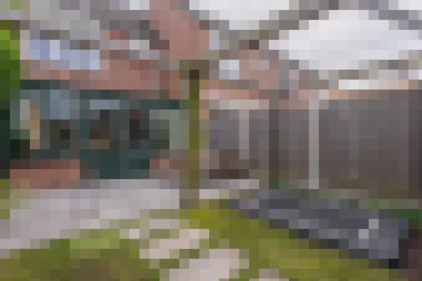 Paardebloem 14 Rijnsburg thumbnail 43