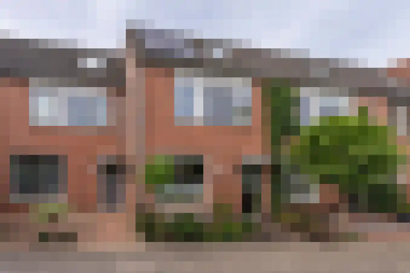 Paardebloem 14 Rijnsburg thumbnail 44