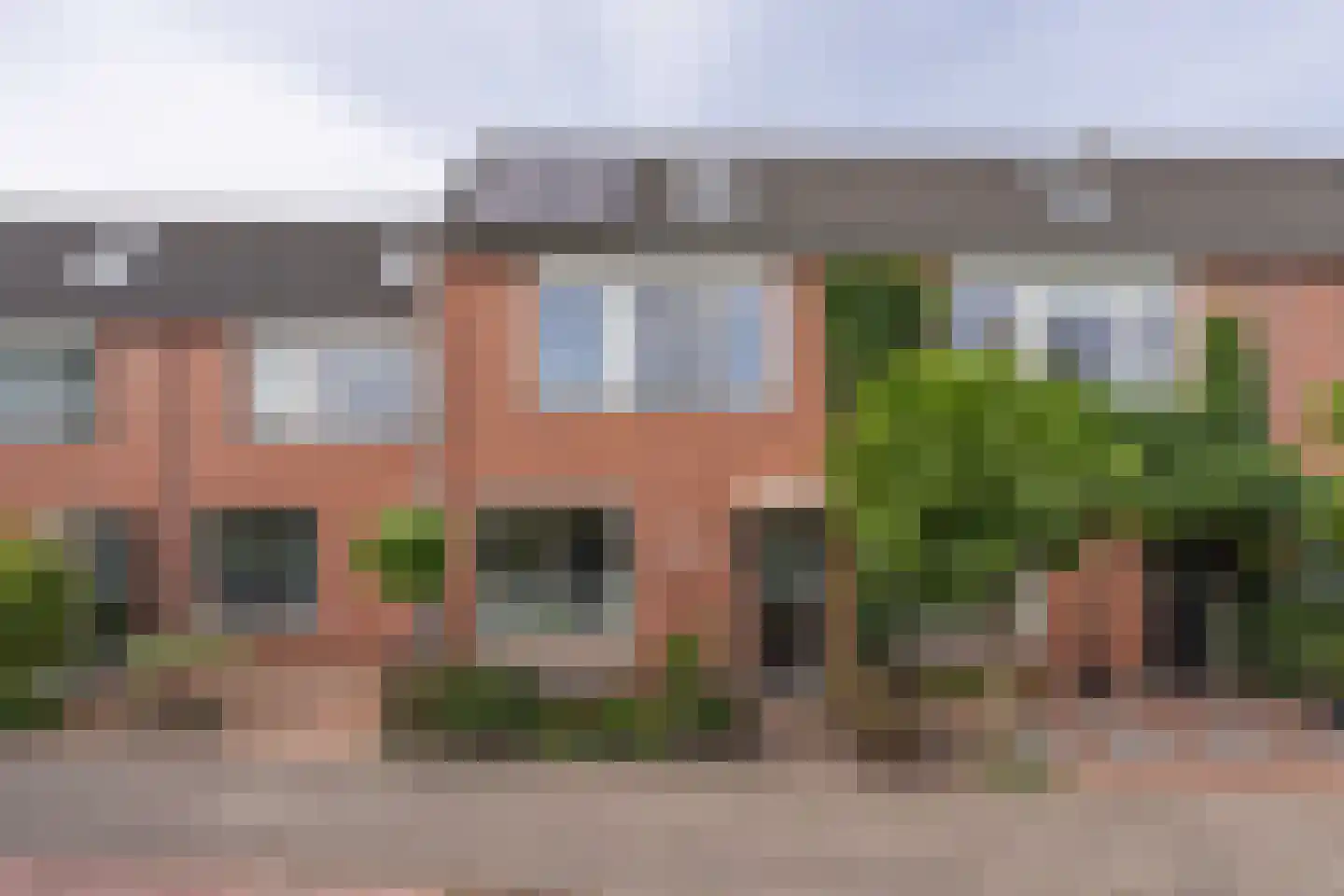Paardebloem 14 Rijnsburg thumbnail 45