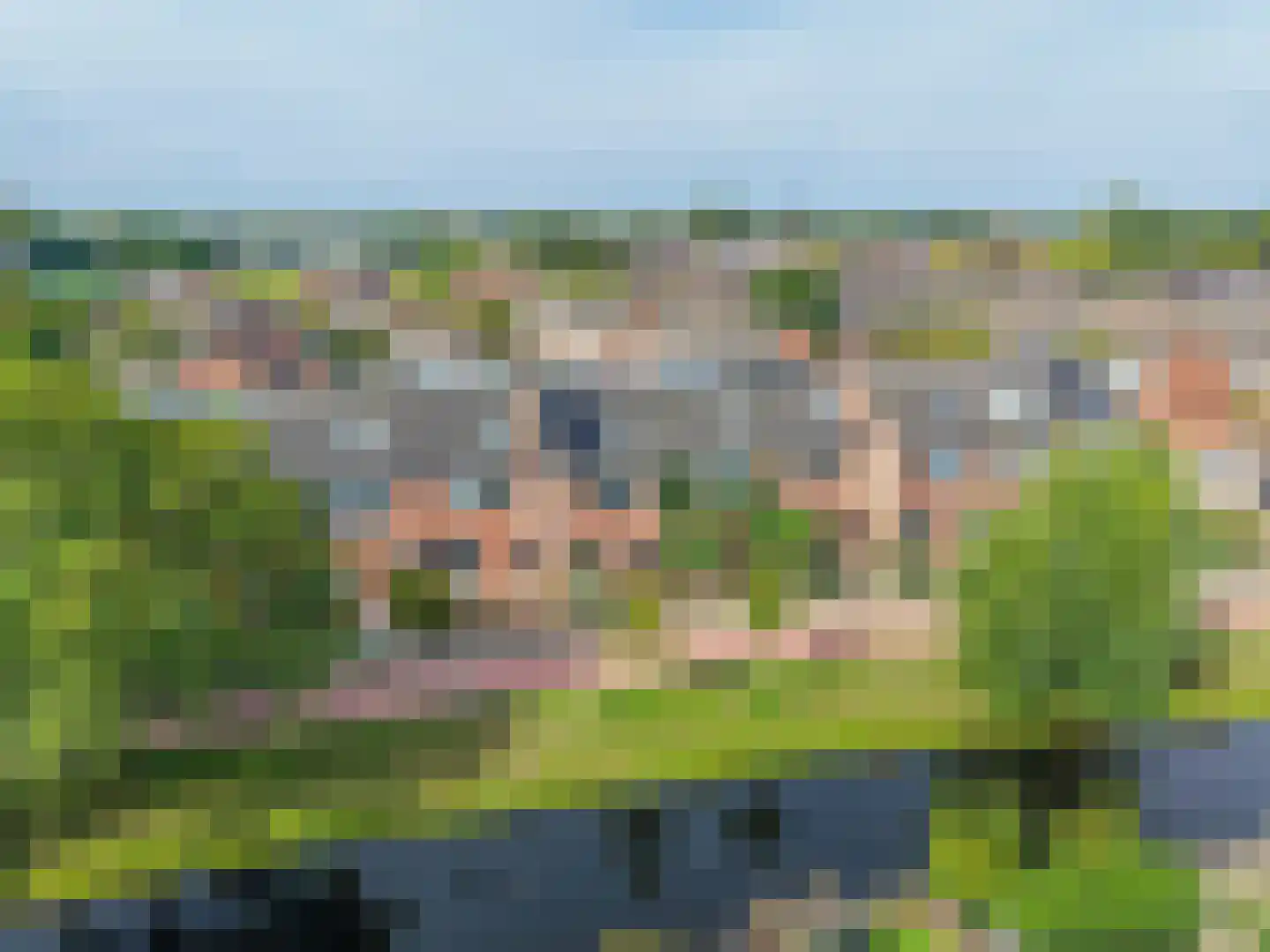 Paardebloem 14 Rijnsburg thumbnail 47