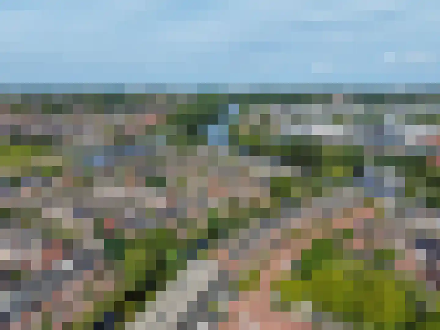 Paardebloem 14 Rijnsburg thumbnail 48
