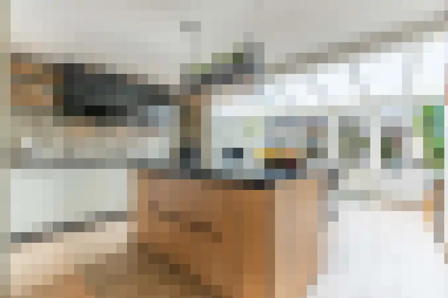 Paardebloem 14 Rijnsburg thumbnail 5
