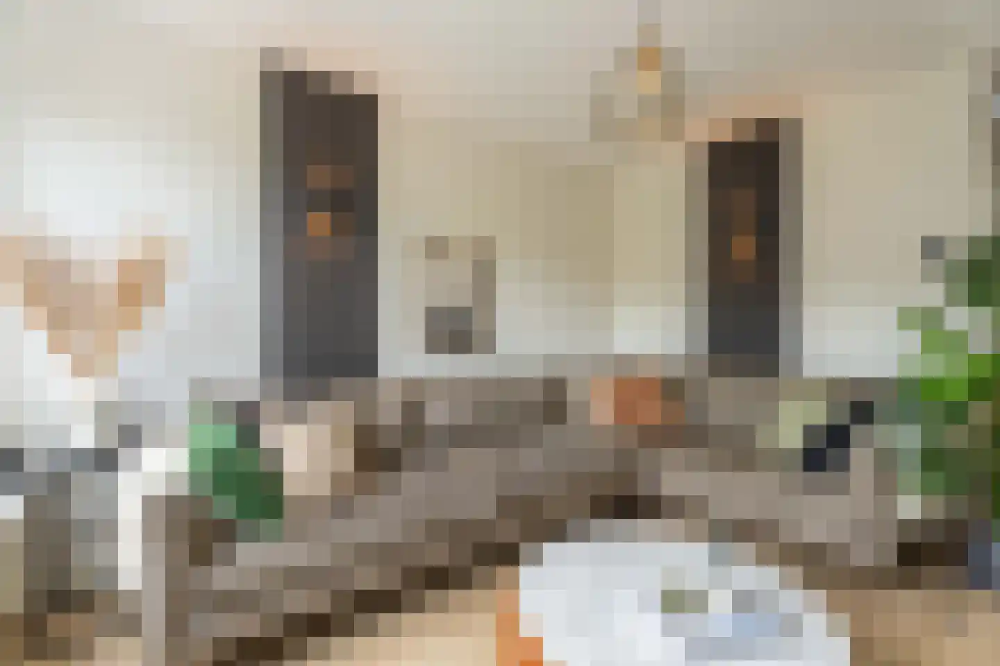 Paardebloem 14 Rijnsburg thumbnail 6