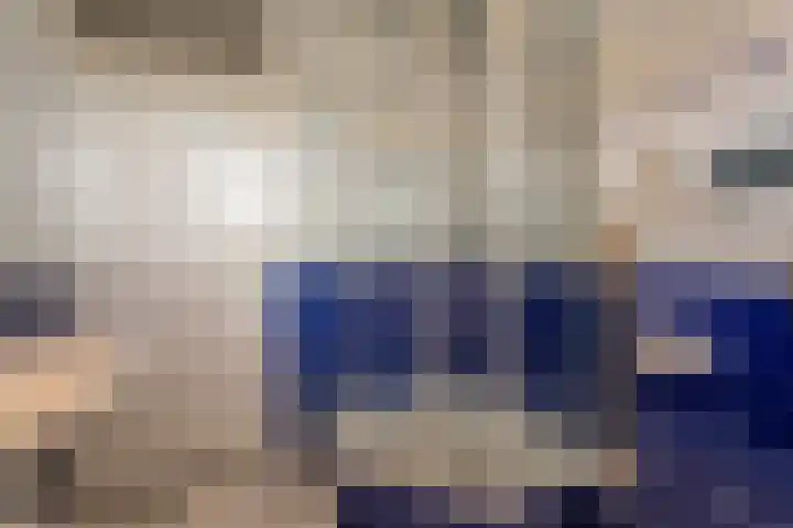 Paardebloem 16 Rijnsburg thumbnail 17