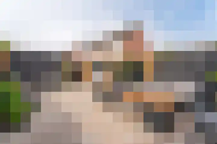 Paardebloem 16 Rijnsburg thumbnail 24