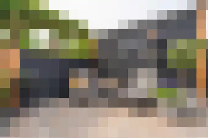 Paardebloem 16 Rijnsburg thumbnail 25