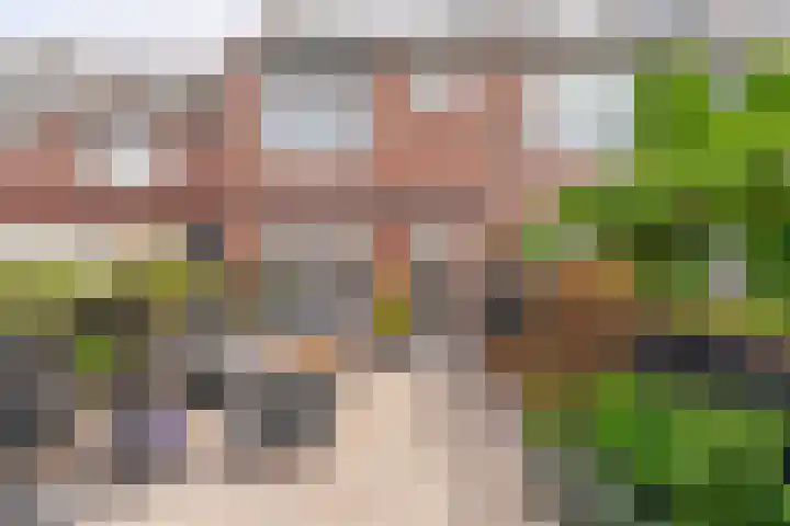 Paardebloem 16 Rijnsburg thumbnail 26