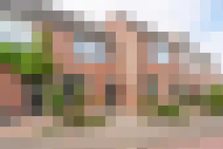 Paardebloem 16 Rijnsburg thumbnail 27