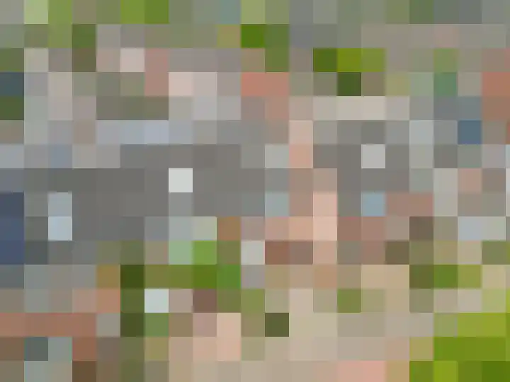 Paardebloem 16 Rijnsburg thumbnail 28
