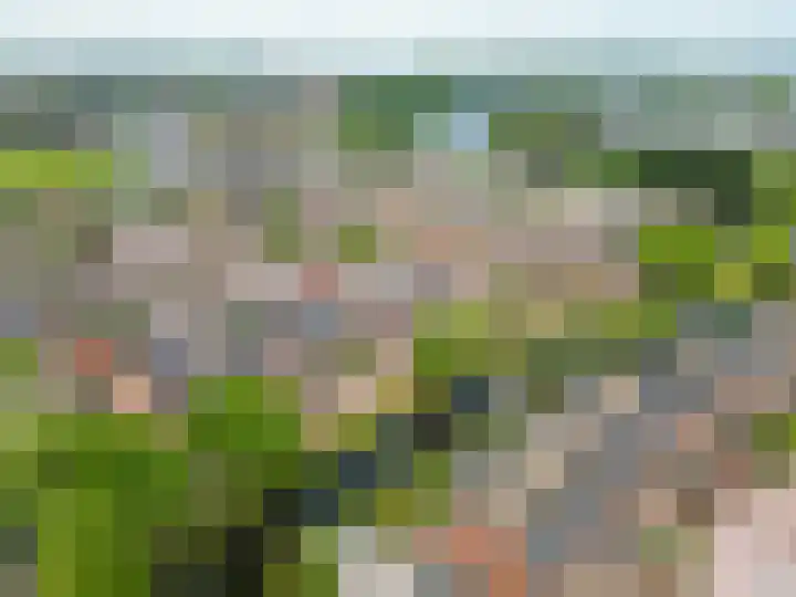 Paardebloem 16 Rijnsburg thumbnail 31