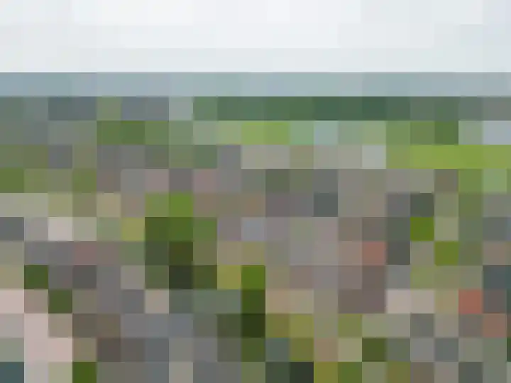 Paardebloem 16 Rijnsburg thumbnail 32