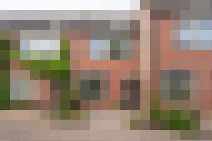 Paardebloem 16 Rijnsburg thumbnail 38